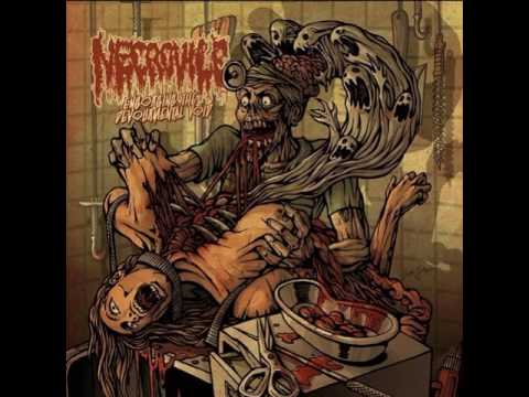 Necrovile - 02   Flesh Exposed To Bone