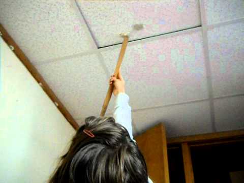 semen fish stuck on the ceiling