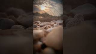 Download lagu mungkin bila nanti #peterpan #lagu #shortmusic #shortvideo mp3