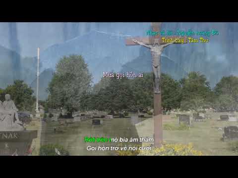 Mưa gọi hồn ai - Tâm Thư