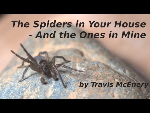 The Spiders in Your House - And the Ones in Mine