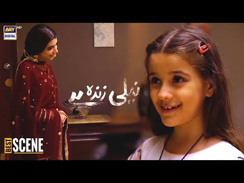 Neeli Zinda Hai Episode 34 Best Scene - ARY Digital Drama