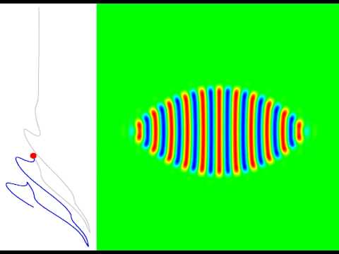 To snake or not to snake in the planar Swift-Hohenberg equation: change of curvature in worms