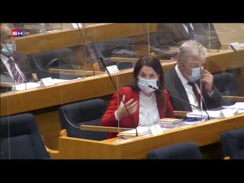 RASPRAVA U SKUPŠTINI: Igor Žunić - Jelena Trivić i Nebojša Vukanović