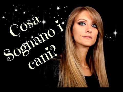 Dolore al ginocchio durante la discesa giù per le scale Dolore nella parte sinistra inferiore spazzata mal di schiena