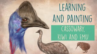 Drawing to find inspiration: Cassowary, Kiwi and Emu