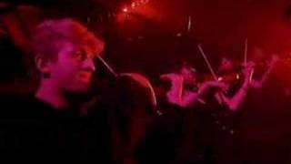 Nick Cave &amp; Kylie Minogue (The Pogues) Death is not the end