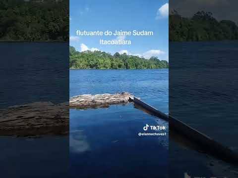 Itacoatiara Amazonas 🐾🐆