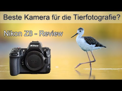 Nikon Z8 REVIEW - The perfect camera for bird photography? (User review)