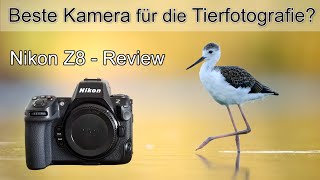 Video thumbnail for Nikon Z8 REVIEW - Die perfekte Kamera für die Vogelfotografie? (Erfahrungsbericht) by Fabian Fopp - Naturfotografie