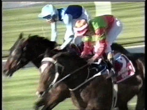 1995 BRC 𝑫𝑶𝑶𝑴𝑩𝑬𝑵 𝑪𝑼𝑷