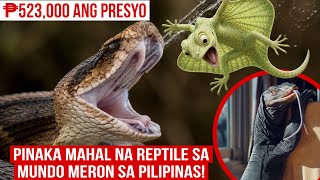 PINAKA MAHAL NA ALAGANG REPTILE SA MUNDO, MERON ANG PILIPINAS | ₱523,000 ANG PRESYO | MISTER DI