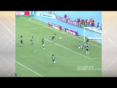 Botafogo 2 x 1 Palmeiras - Campeonato Brasileiro 2009