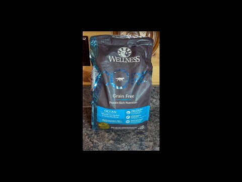 Dog Mom Honest Review of Wellness Core Grain Free Dog Food #dogfoodreview #dogproducts #reviews