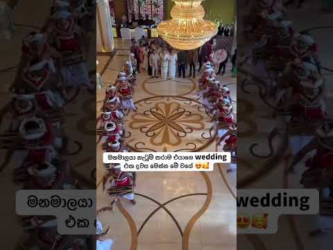 ගනන් කරන්න බැරි තරන් නැටුම් ශිල්පීන් ගොඩක් ඇවිත් 😍🥰 #srilanka #wedding #weddinghouse