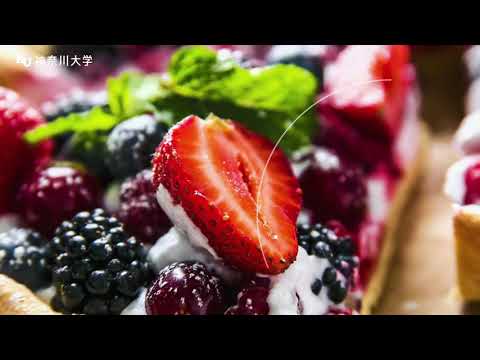 神奈川大学 大学トップ 大学受験パスナビ 旺文社 神奈川大学 大学トップ 大学受験パスナビ 旺文社