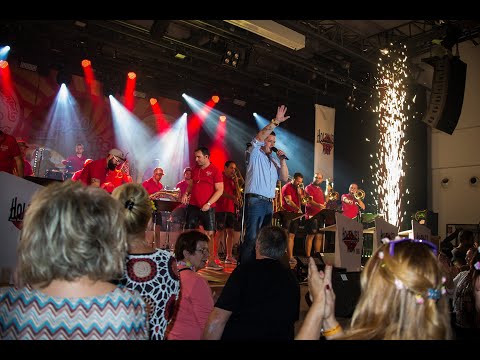 Holzhauermusik Radolfzell & Chris Metzger - Verdammt ich lieb Dich (Matthias Reim)