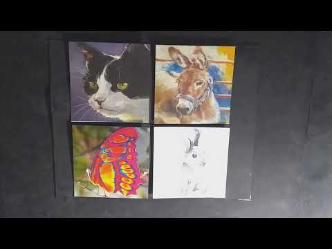 PALPITES DIA 30=10=20 (DIA TODO)