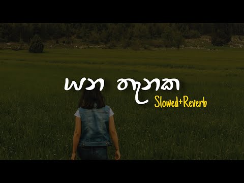 Yana Thanaka - යන තැනක (Slowed+Reverb)