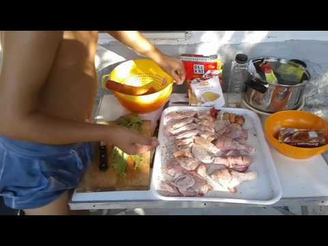 ADITZA GARBEA Prepara gratar Cotofanca 2016