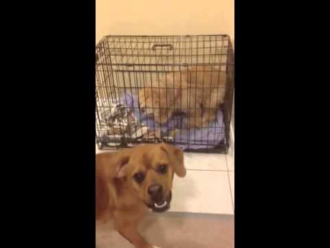 Busting out the cell mate!