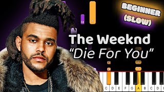 The Weeknd Die For You Piano Tutorial! (Beginner) SLOW 50% Speed