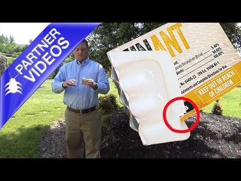  How to Use DominAnt Liquid Ant Bait Stations Video 