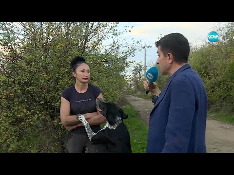 Не искам 300 кучета - Жоро Игнатов (06.12.2025)