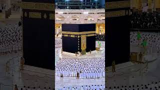 Download lagu Maulaya saliva salim daiman ♥️♥️ mp3 Download lagu Maulaya saliva salim daiman ♥️♥️ mp3