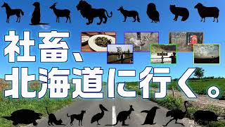 社畜、北海道に行く。Part5