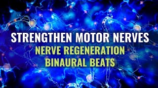 Strengthen Your Motor Nerves | Heal Muscles Of The Body | Nerve Regeneration Binaural Beats