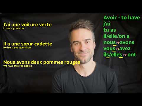 Avoir = to have - Learn the full verb in present tense - song - important - Learn French with Mr K