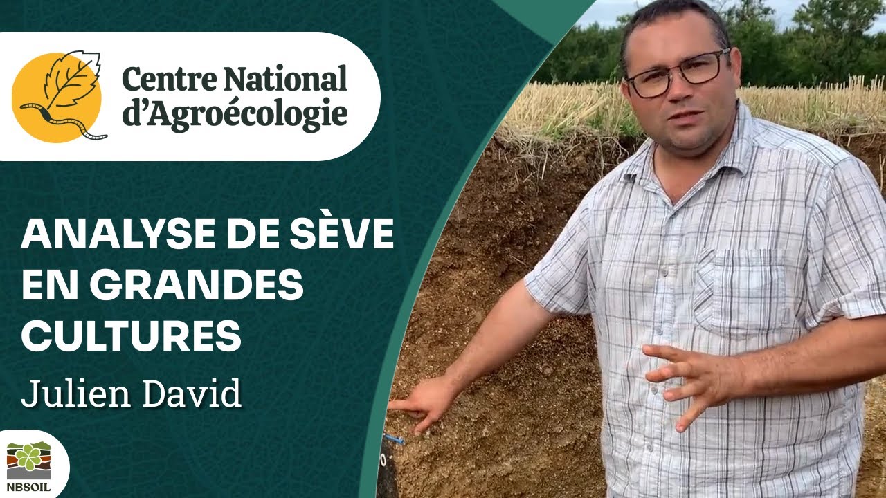 ANALYSES DE SÈVES EN GRANDES CULTURES RETOURS D’ESSAIS - Julien David - CNA