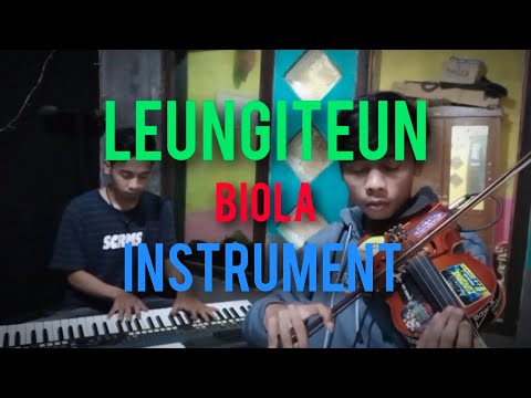 LEUNGITEUN~BIOLA INSTRUMENT