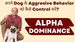 How to control Dog Aggression and Biting Problem | Alpha Dominance Nature | Baadal Bhandaari