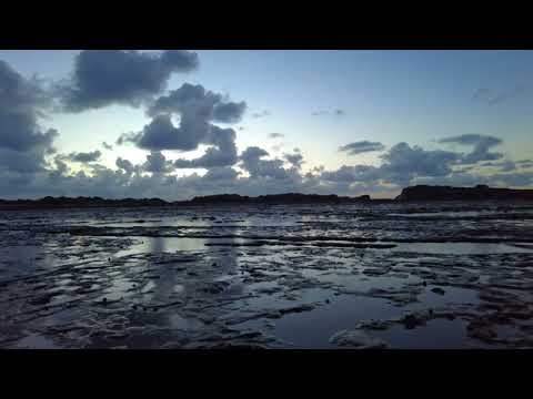 Sea Snail and Clouds