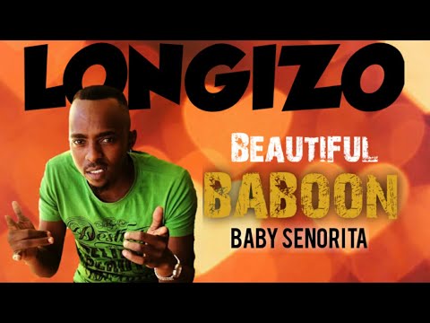 Longizo - Beautiful Baboon (Official Audio)
