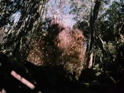 Thumbnail for O Predador (Predator, 1987) † Trailer by Howard Anderson