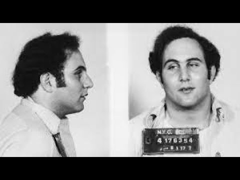 The .44 Caliber Killer - Serial Killer David Berkowitz.