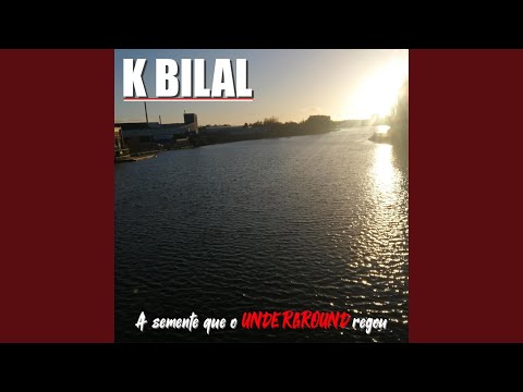 Caranguejos no Balde