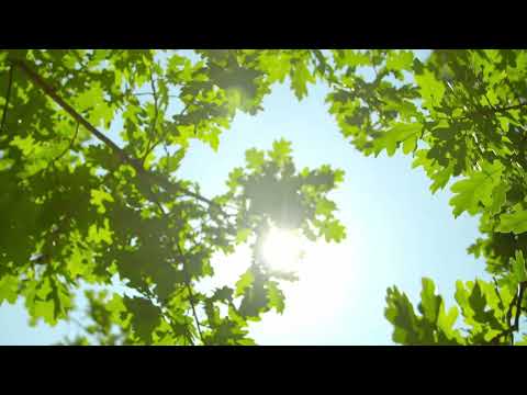 Grupaj cântări creștine 7 octombrie 2022 - Mariana Someșan