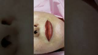 Fresh Lips Permanent Makeup Cosmetic Tattoo by El Truchan @ Perfect Definition