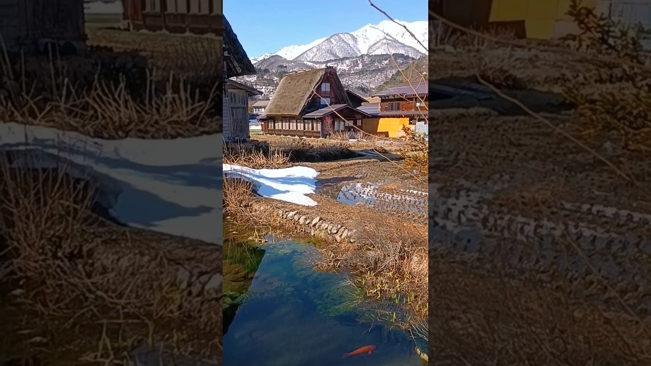 YouTube Short thumbnail