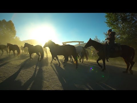 Vista Verde Guest Ranch- An All-Inclusive Luxury Guest Ranch in Colorado