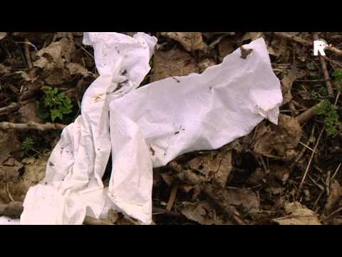 Rijnmond Nieuws - 7 maart 2013