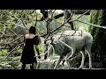 The Killing Of A Sacred Deer Snow White And The Huntsman CLIP