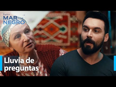 Preguntas que hacen sudar a Ferhat - Mar Negro Capítulo 206 | Fugitiva