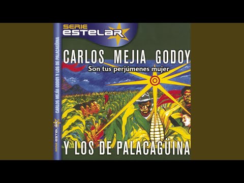 Credo video