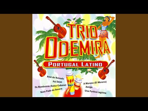 download lagu mp3 mp4 Malhao 2005, download lagu Malhao 2005 gratis, unduh video klip Malhao 2005