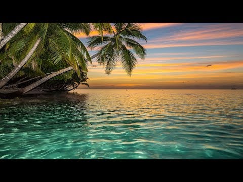 Ho'oponopono Healing Music, Relaxing Sleep Music, Meditation Music, Music for Relaxation